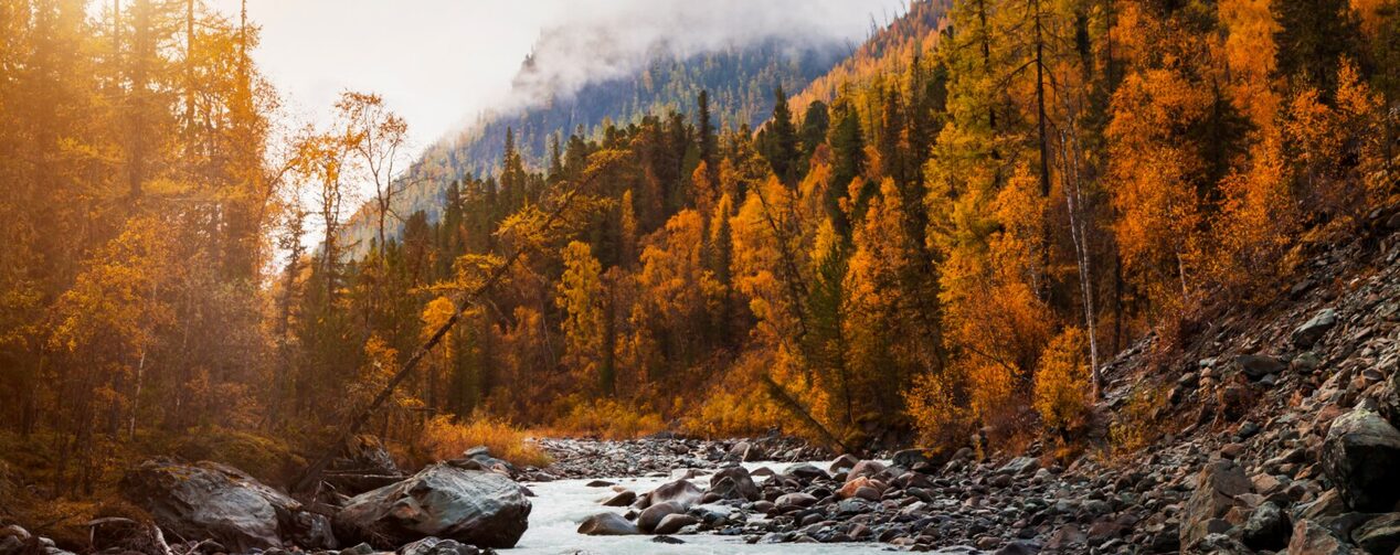 Go Leaf Peeping with OnStar.