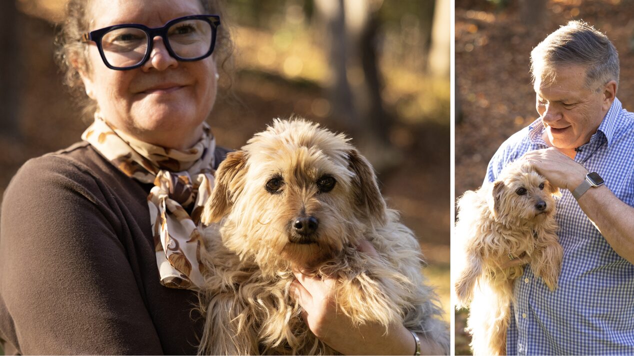 Snickers the dog in the arms of Shelly, his owner.