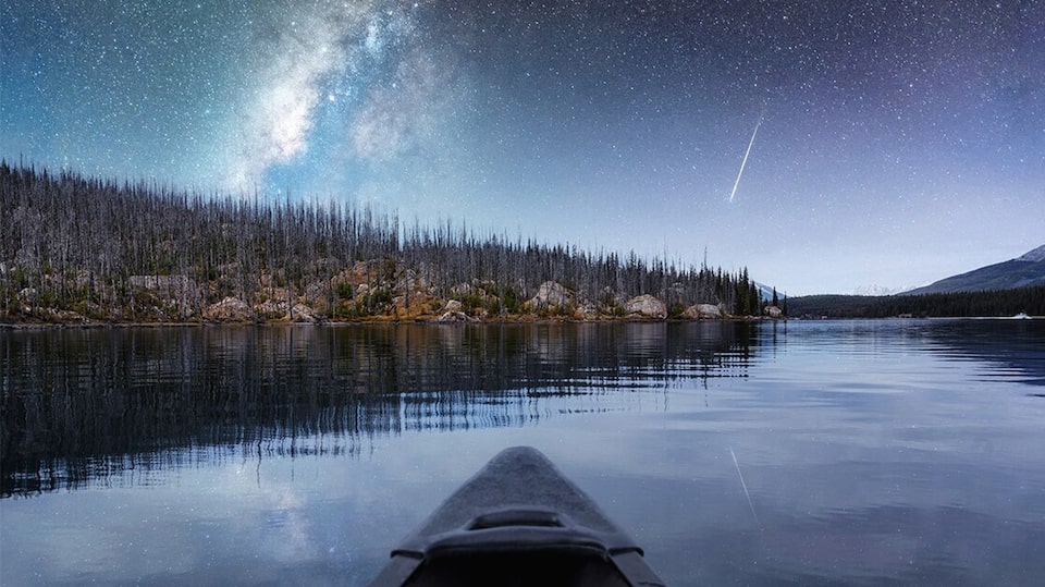The night sky hanging over a river in the forest.