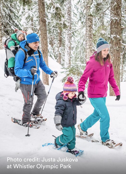 People snowshoeing at a tree-lined winter environment.