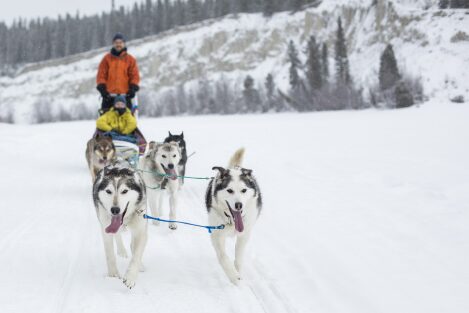 Deux personnes font du traîneau à chiens dans un environnement hivernal.